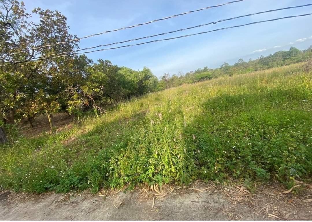 Bán đất xã Thanh Hòa dt 15*67 giá 220tr