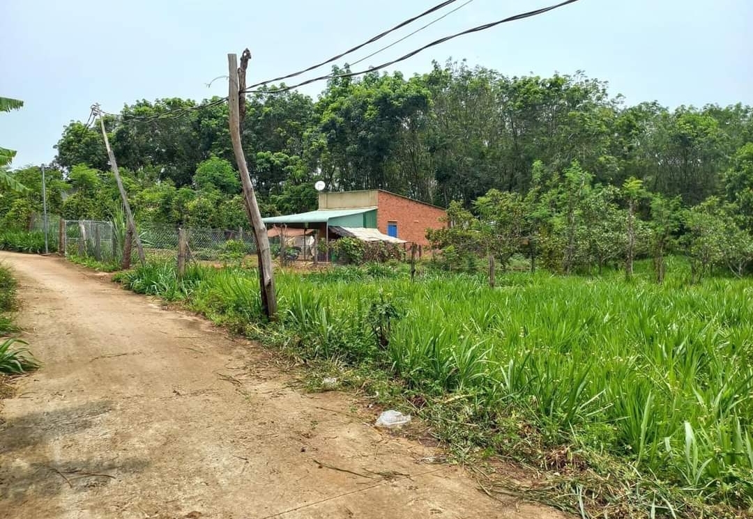 Bán đất Thị trấn Thanh Bình 10*50*100tc giá 390tr