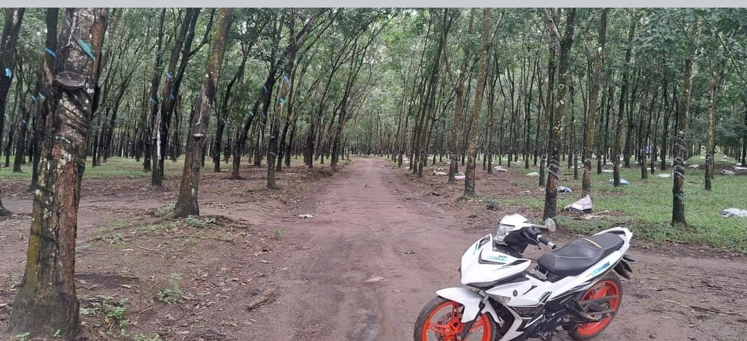 Bán đất xã Long Hà dt 10ha giá 1,4tỷ/ha