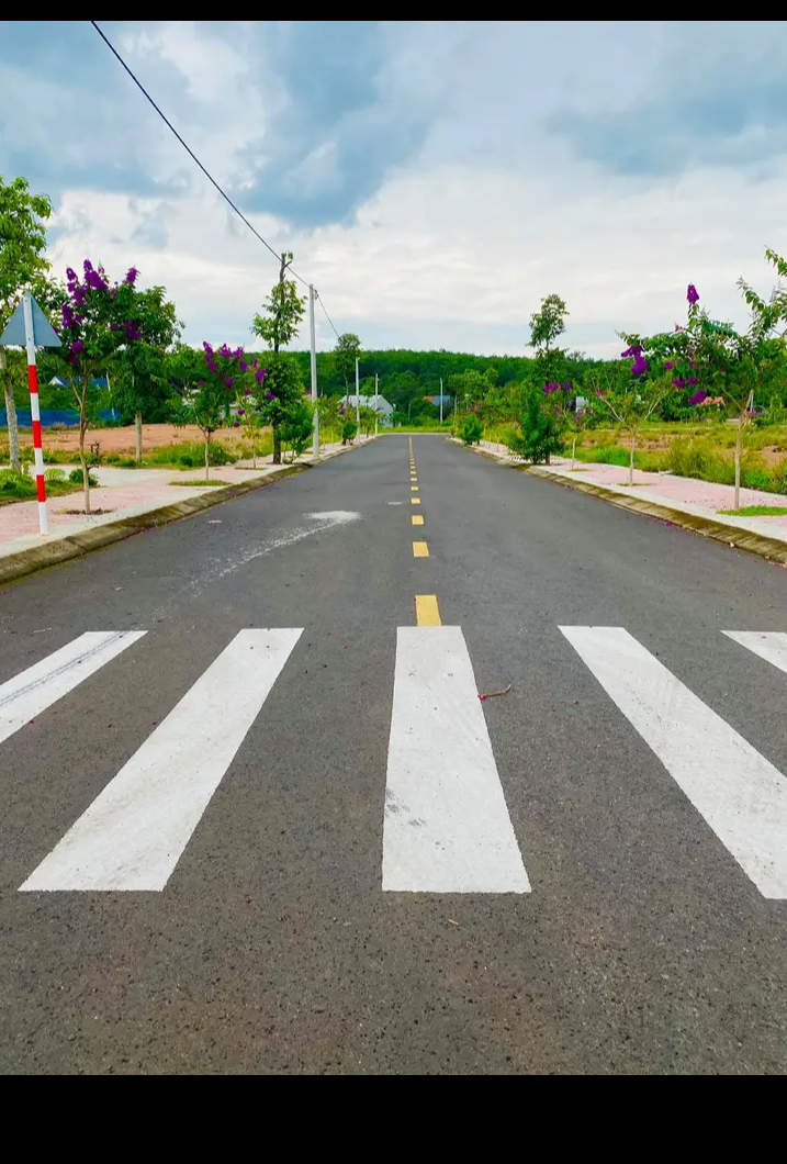 Bán đất xã Thuận Lợi giá 990tr dt 100m2