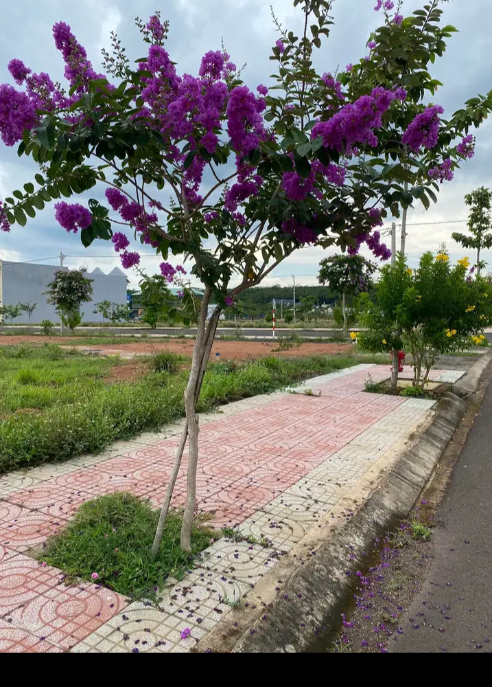 Bán đất xã Thuận Lợi giá 990tr dt 100m2