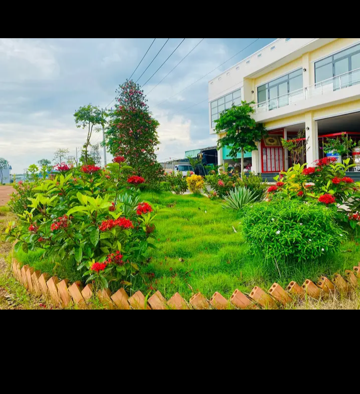 Bán đất xã Thuận Lợi giá 990tr dt 100m2