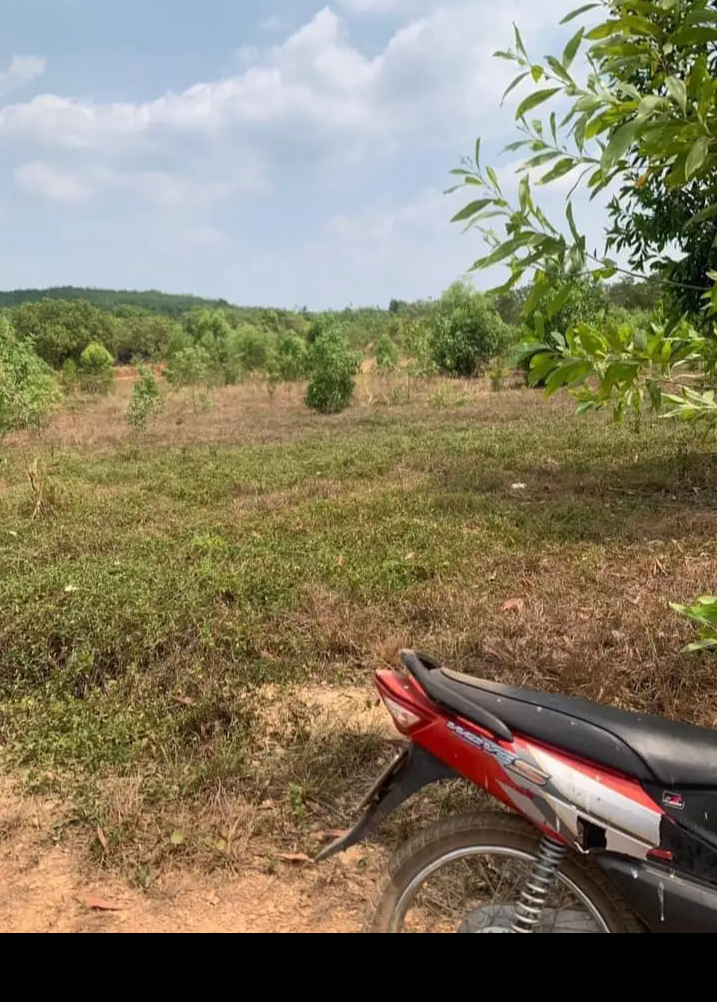 Bán đất xã Đồng Tiến giá 450tr dt 1sào