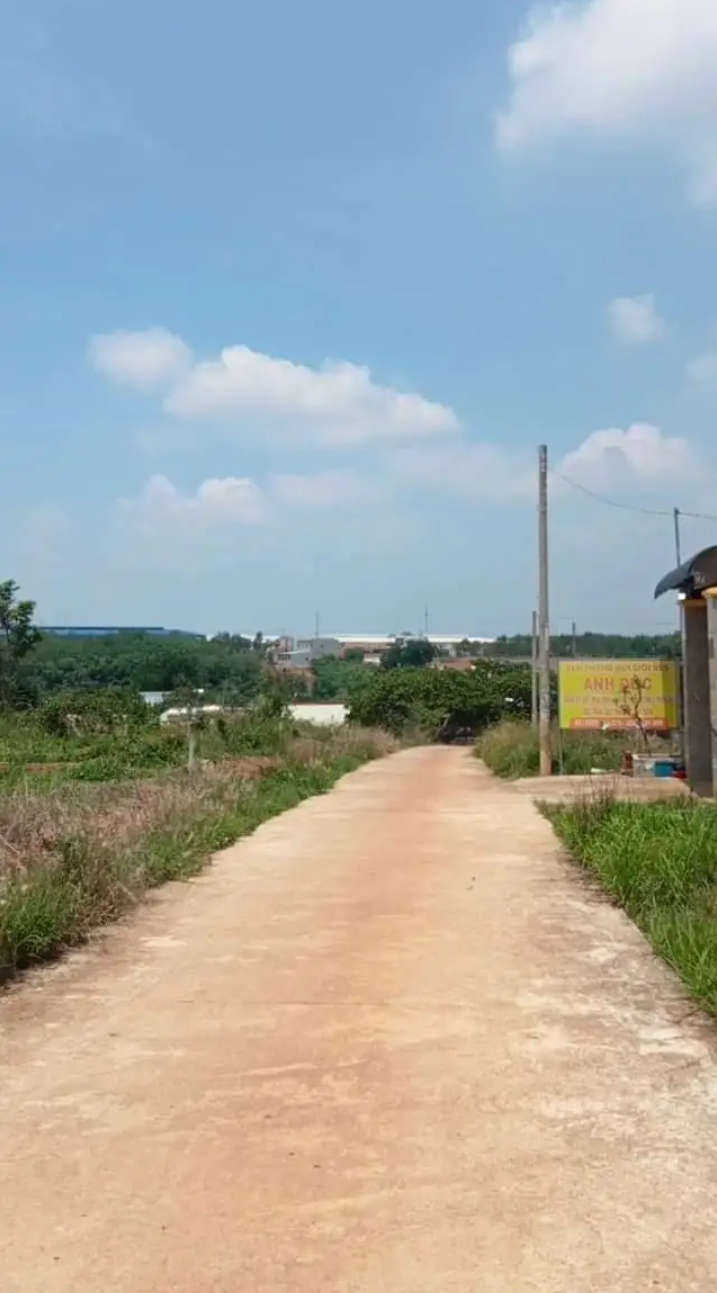 Bán đất phường Tân Bình giá 1tỷ100 dt 5×32×50tc