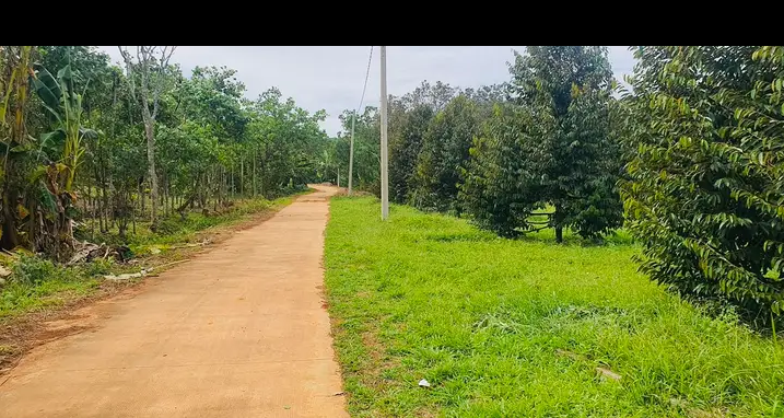 Bán đất xã Tân Hưng giá 560tr dt 1sào
