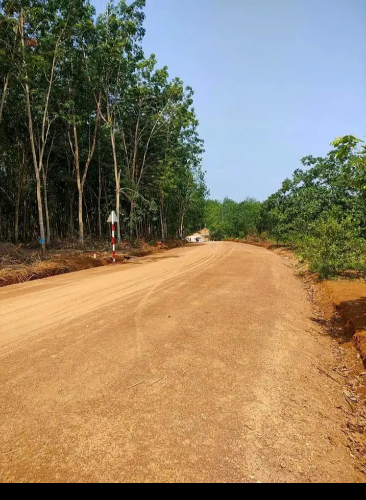 Bán đất xã Tân Phước giá 290tr dt 1sào