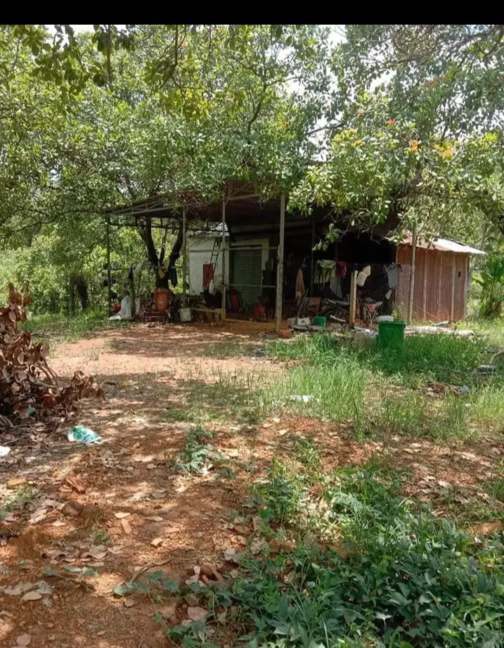 Bán đất xã Tân Lợi giá 1tỷ2/ha dt 5ha5