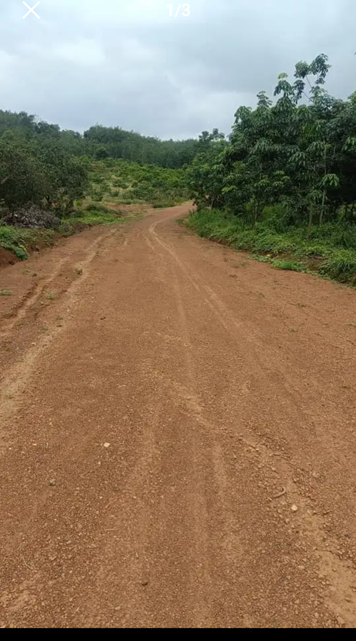 Bán đất xã Tân Phước giá 2tỷ1/ha dt 3ha