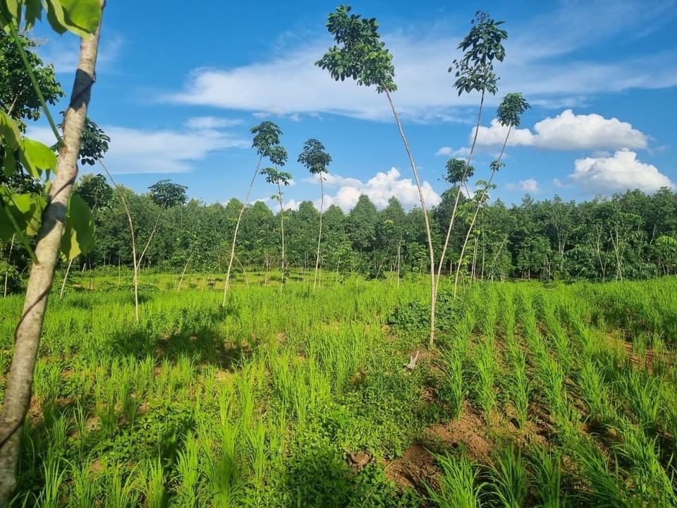Bán đất xã Lộc Thiện giá 1,8 tỷ dt 1.1 ha
