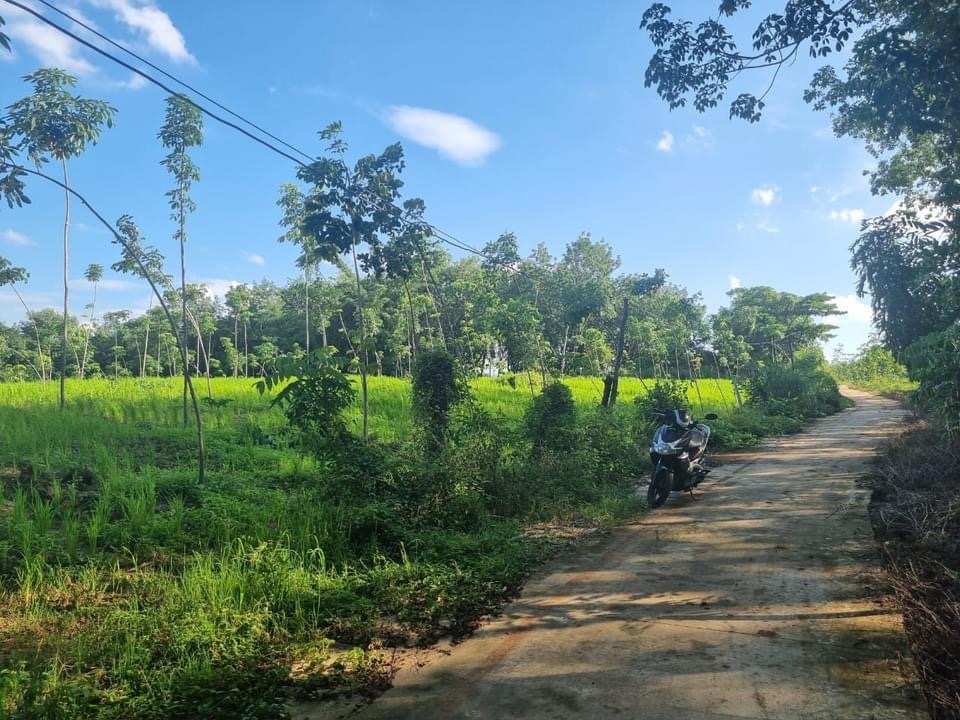 Bán đất xã Lộc Thiện giá 1,8 tỷ dt 1.1 ha