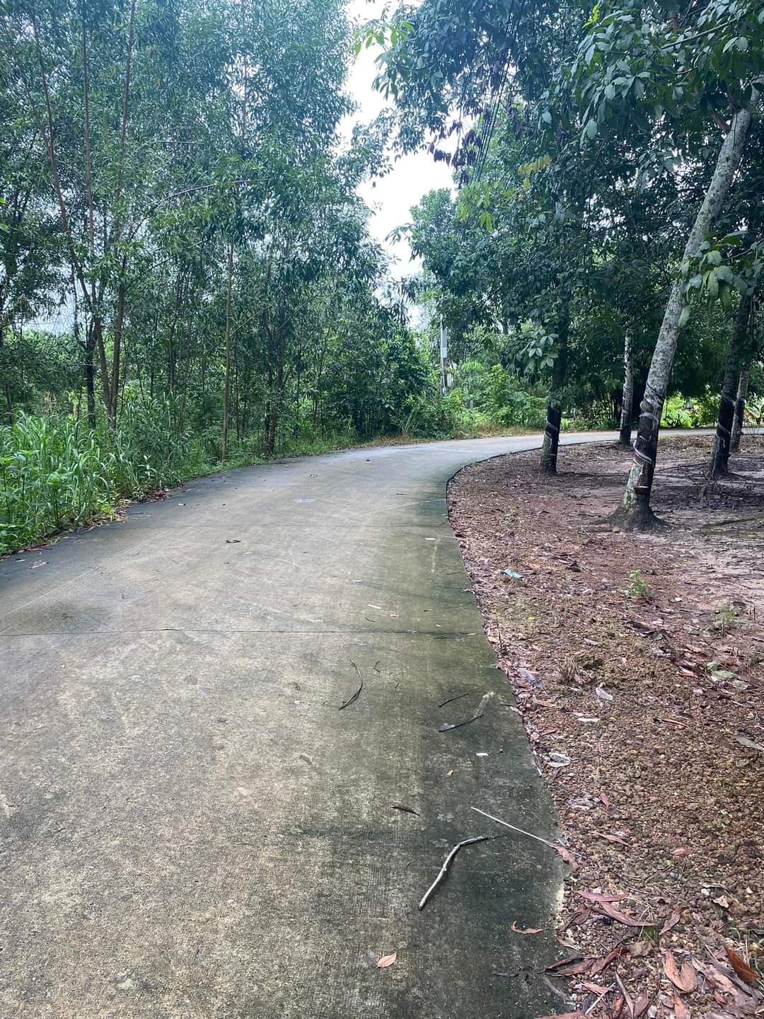 Bán đất Lai Uyên giá 699tr dt 5*30*80tc