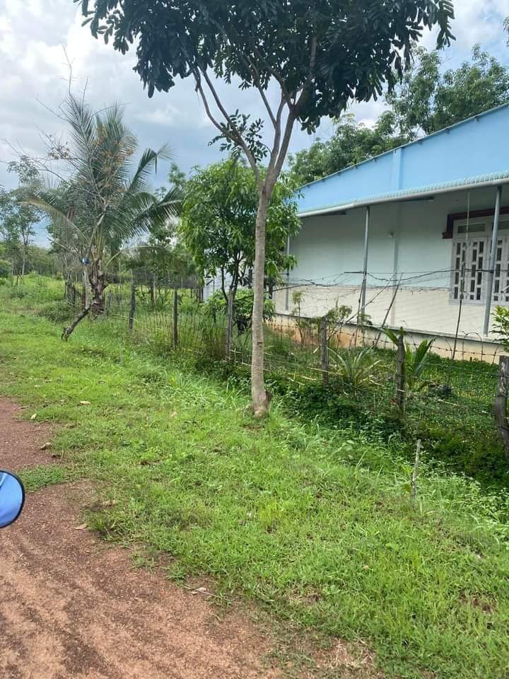 Bán đất xã lộc Thành giá 240tr dt 1 xào