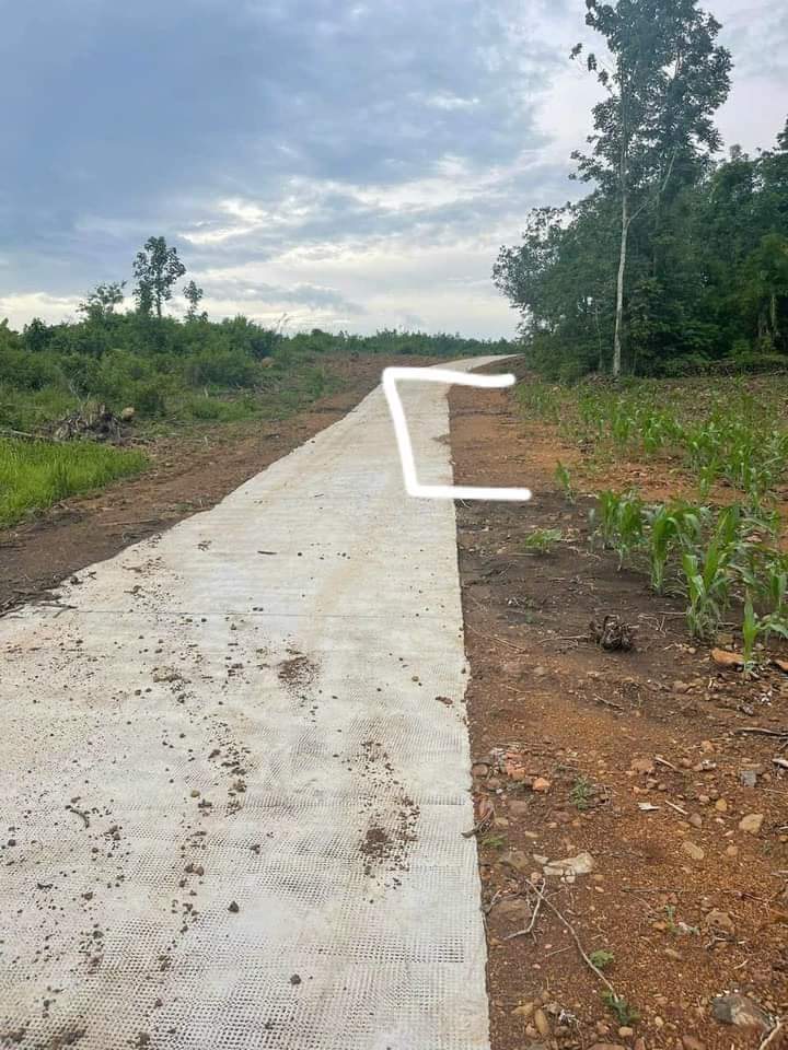 Bán đất ấp Sóc Bưng xã Thanh Phú giá 169tr dt 1 sào
