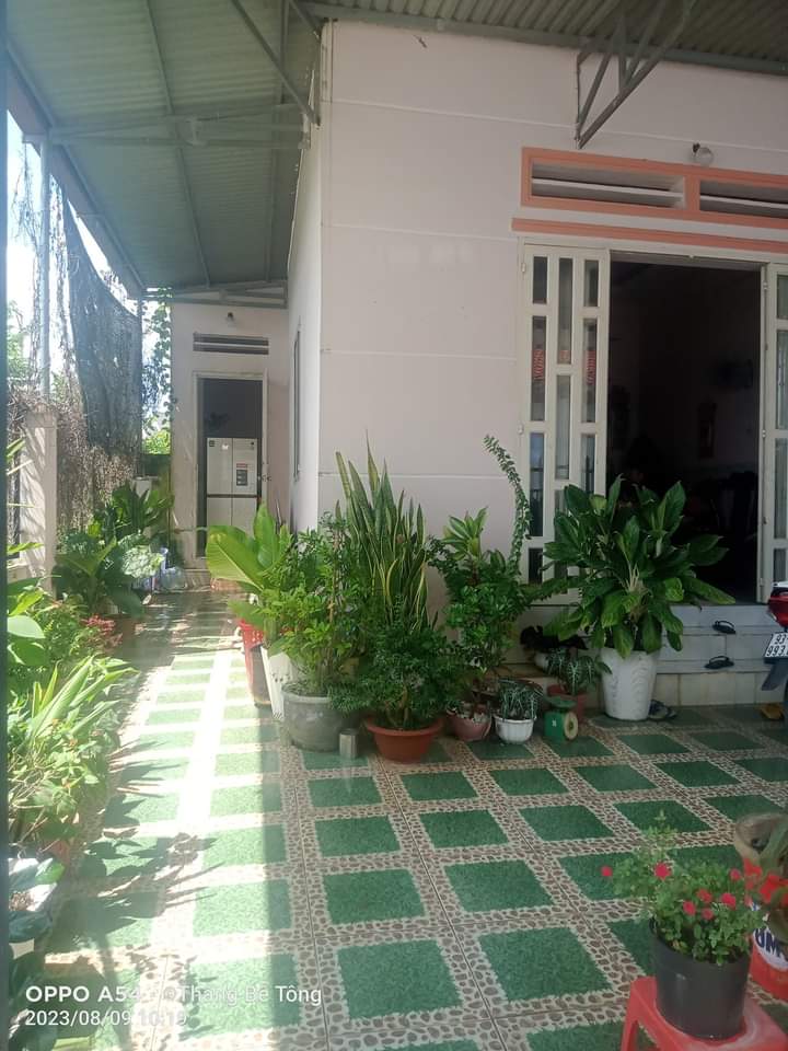 Bán nhà phường Tân Đồng giá 1tỷ650 dt 7×20×50tc