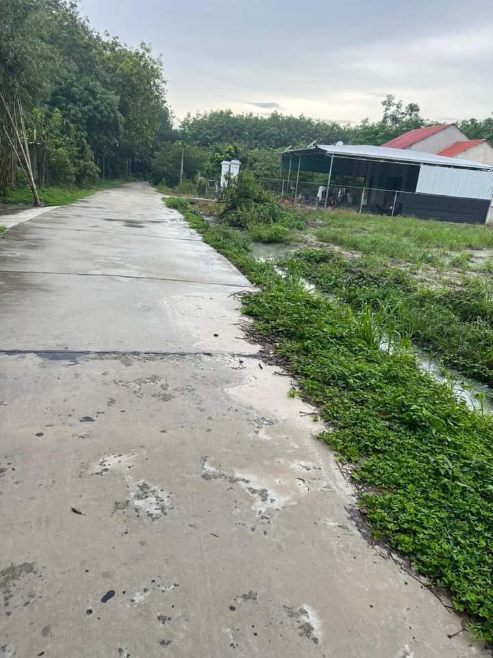 Bán đất phường Minh Hưng giá 550tr dt 6x60x50 tc