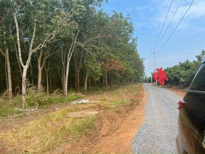 Bán đất ấp Thanh An xã Thanh Lương giá 495tr dt 3 xào