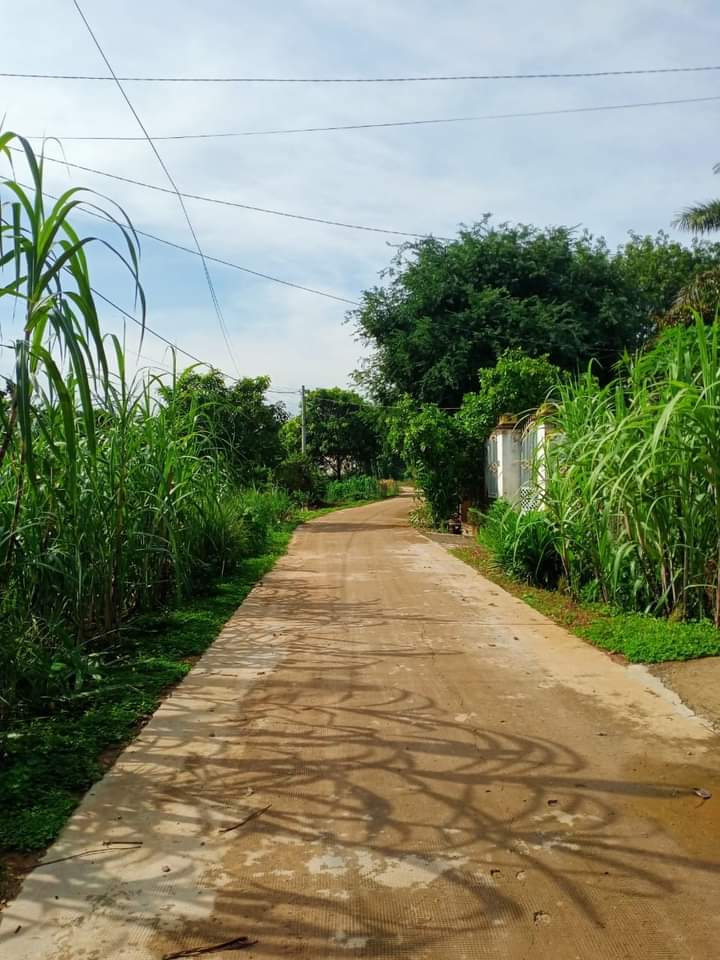 Bán đất xã Đồng Tiến giá 1tỷ1 dt 15×42×100tc