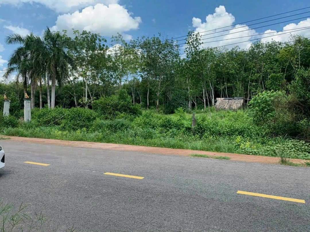 Bán đất Long Nguyên giá 900tr dt 5*65*100tc
