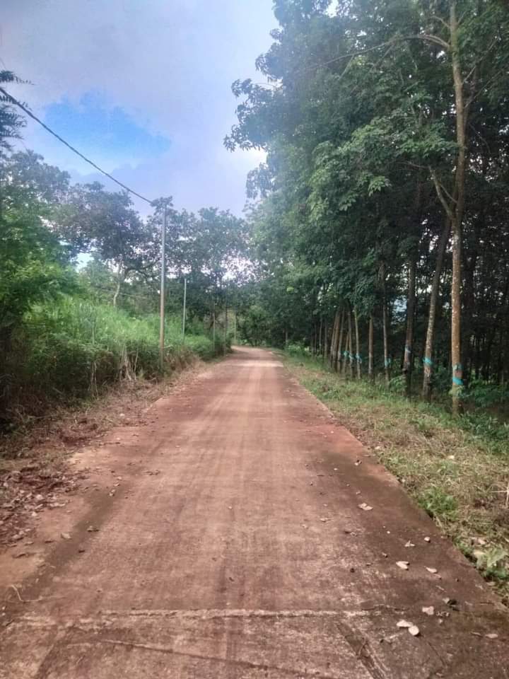 Bán đất phường Sơn Giang giá 750tr dt 2sào2