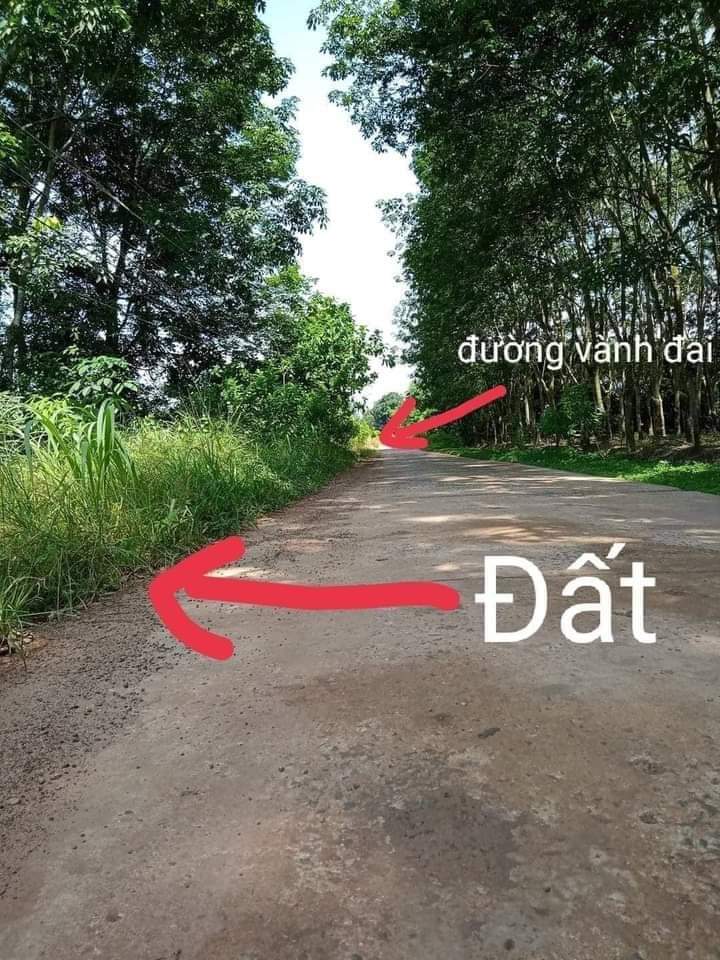 Bán đất tt Tân Khai giá 1tỷ050 dt 6×50×50tc