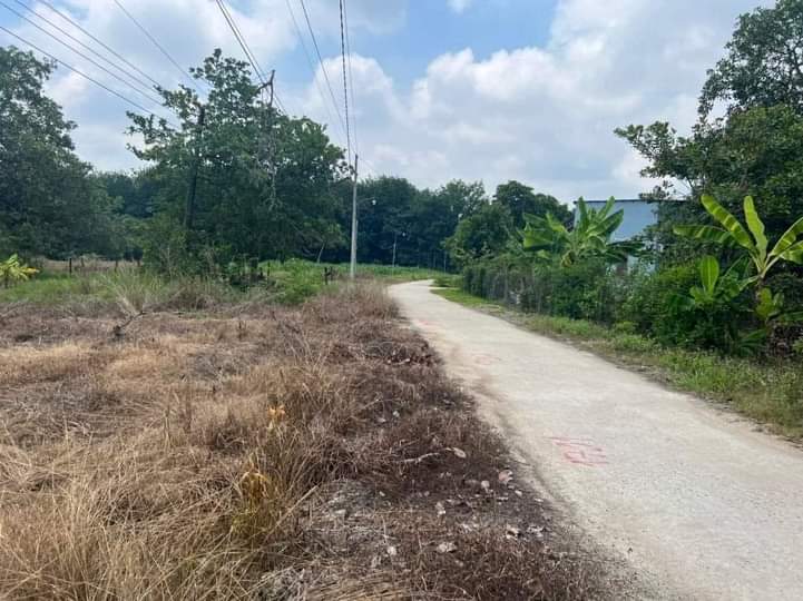 Bán đất xã Thanh Lương giá 275tr dt 5×50×50tc