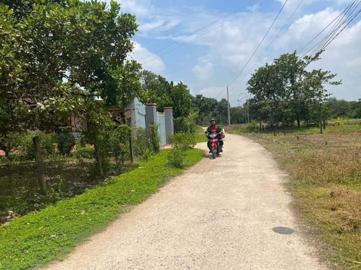 Bán đất xã Thanh Lương giá 275tr dt 5×50×50tc