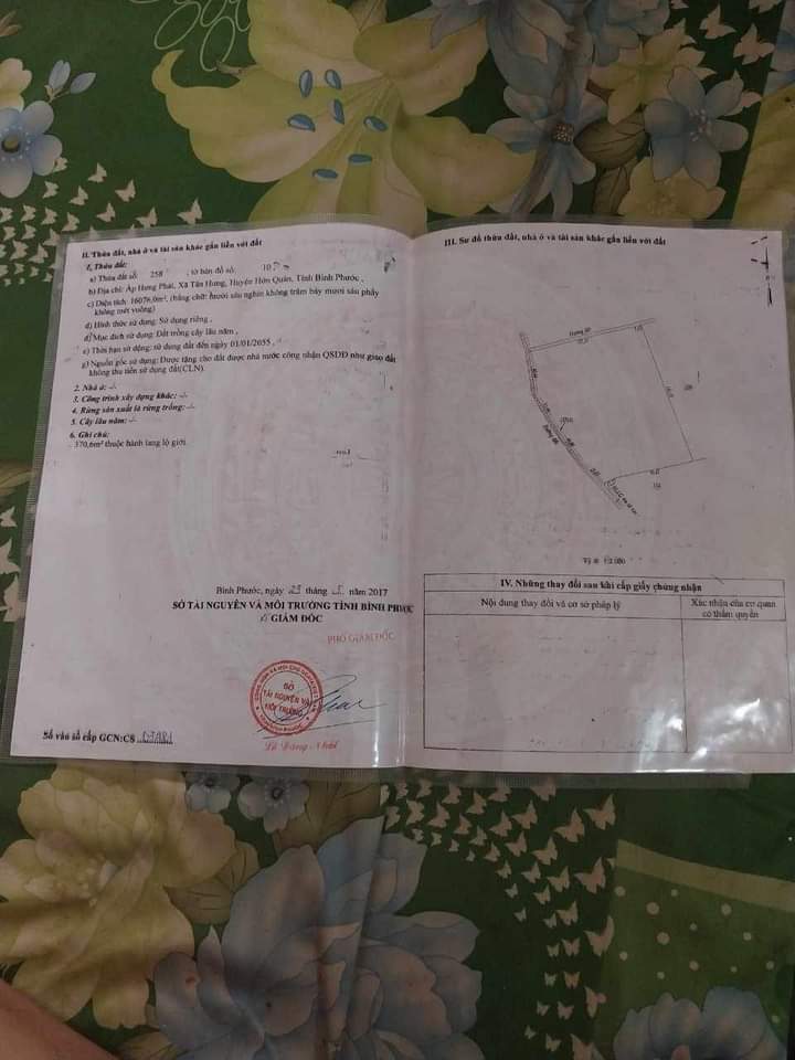 Bán đất xã Tân Hưng giá 2tỷ2 dt 1ha6
