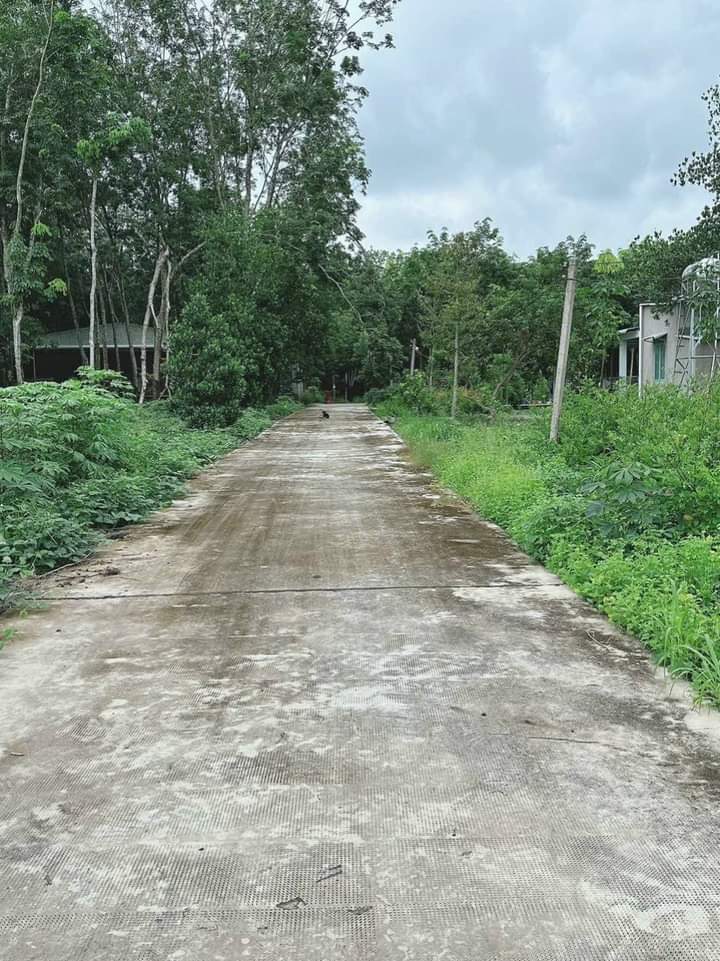 Bán đất phường Minh Hưng giá 550tr dt 10×60
