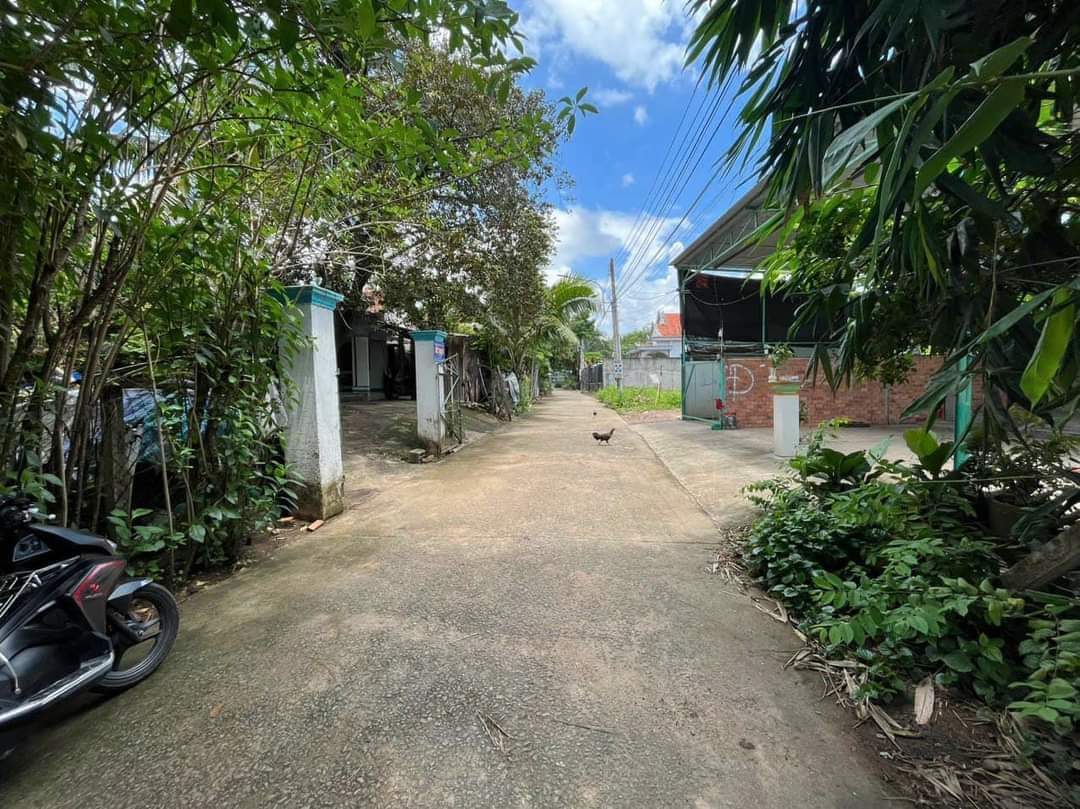 Bán đất Thới Hoà giá 1tỉ5 dt 365,9m2 *70tc