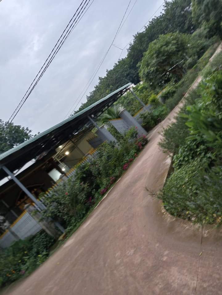 Bán đất xã Thanh An giá 390tr dt 10×60×100tc