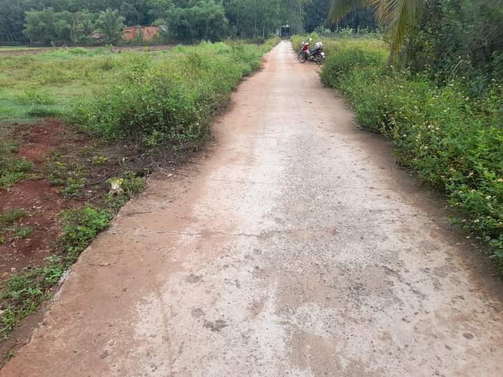 Bán đất khu phố Bình Tân phường An Lộc giá 300tr dt 1 sào