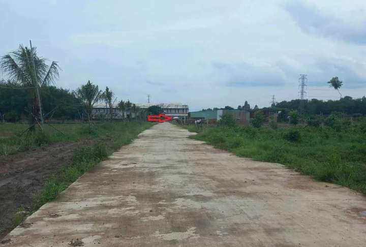 Bán đất tt Tân Khai giá 800tr dt 7×73×100tc