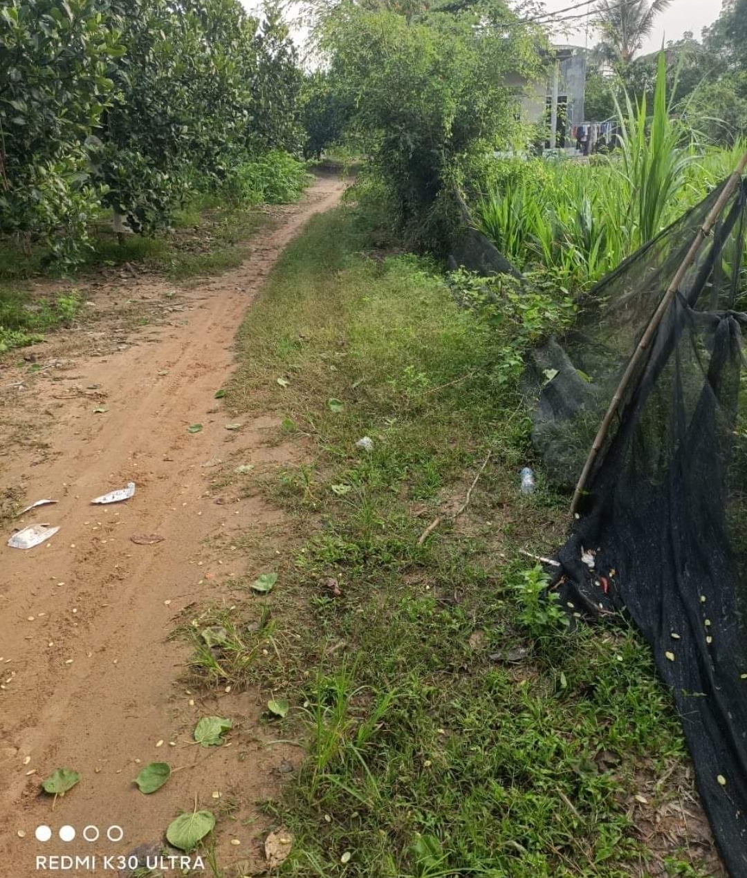 Bán đất xã Tân Thành dt 9,5xào giá 1,9tỷ
