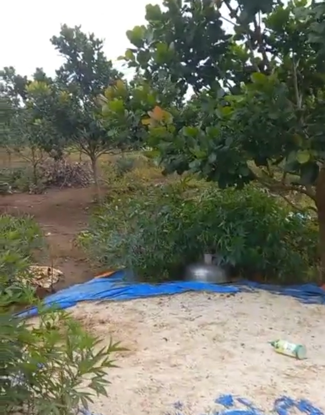Bán đất xã Long Bình dt 3ha giá 1,2tỷ/ha