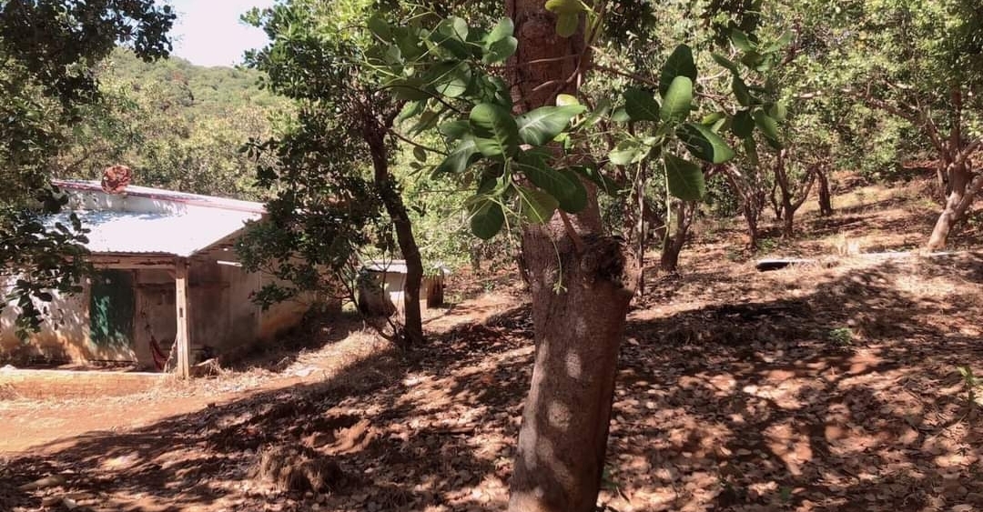 Bán đất xã Đăk Ơ dt 12,6ha giá 700tr/ha