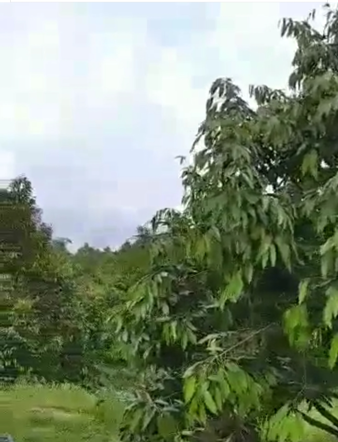 Bán đất xã Đăk Nhau dt 1ha giá 1,6tỷ