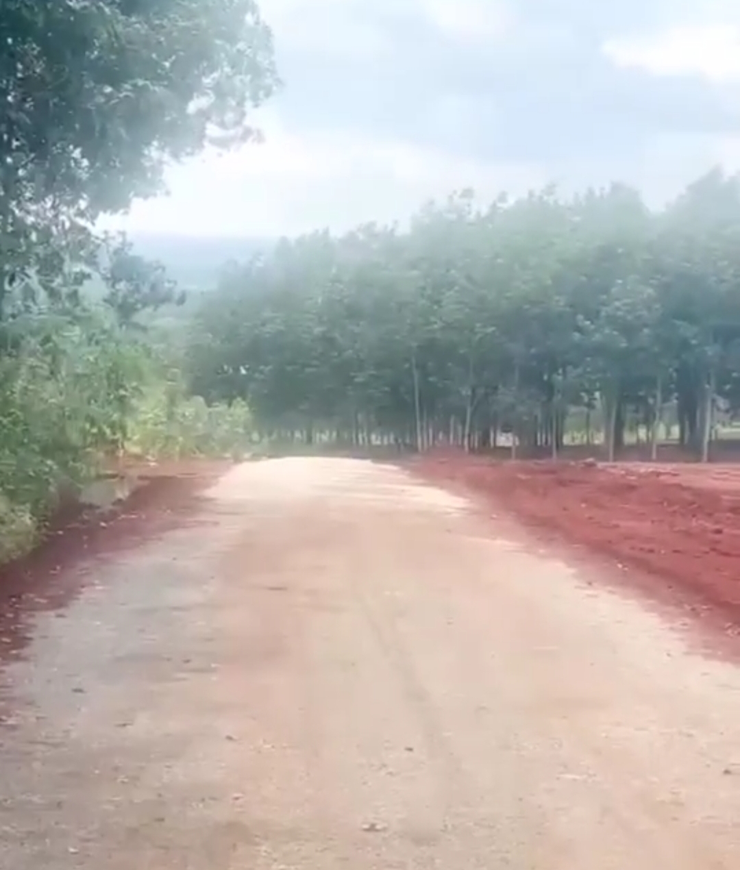 Bán đất xã Long Bình dt 2ha giá 1,3tỷ/ha