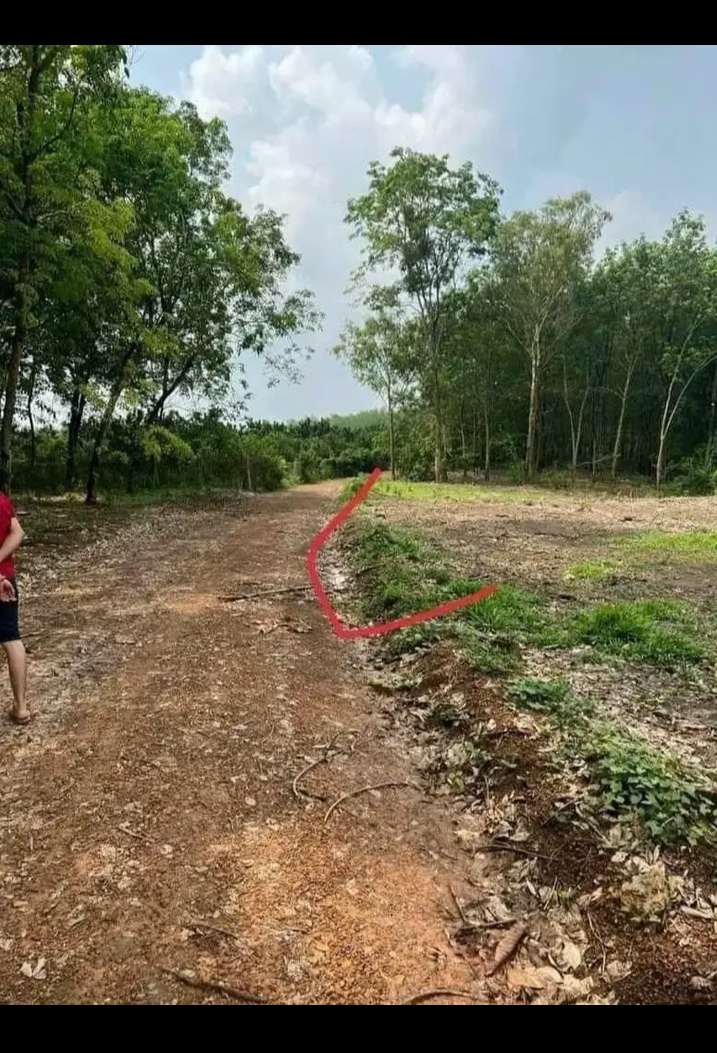 Bán đất xã Thanh An giá 199tr dt 1sào