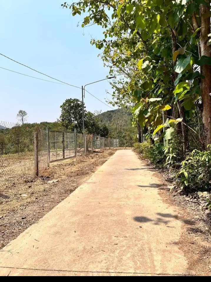Bán đất xã Đồng Tâm giá 200tr/sào dt 3sào