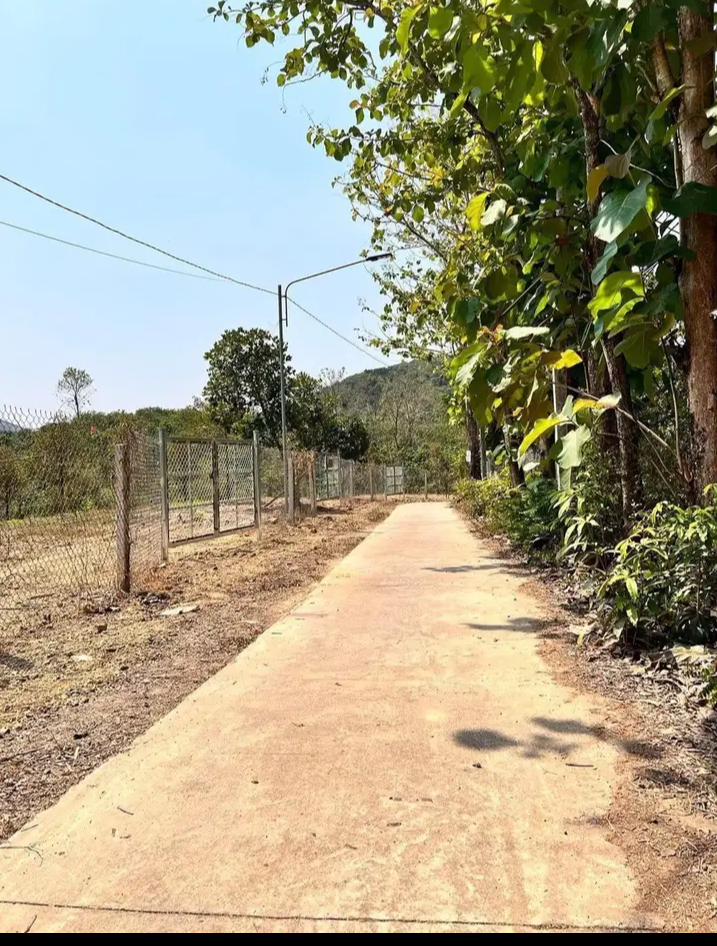 Bán đất xã Đồng Tâm giá 200tr/sào dt 3sào