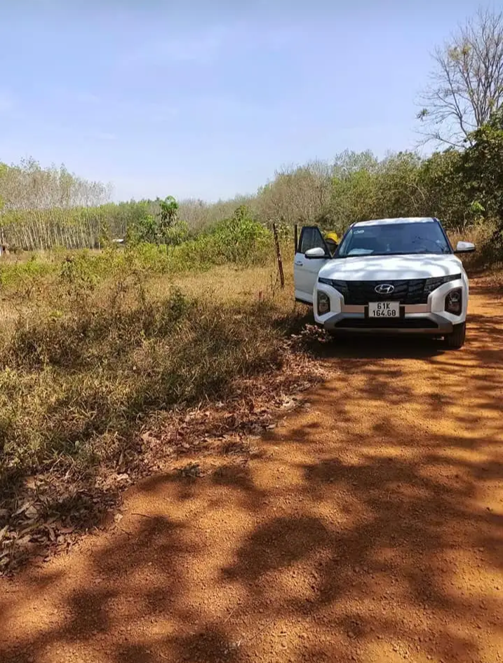 Bán đất xã Tân Hưng giá 290tr dt 1sào×100tc