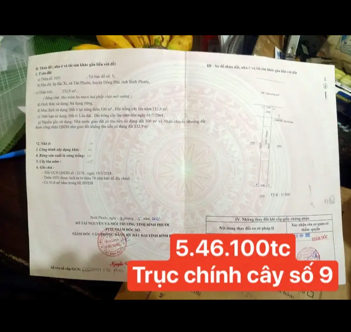 Bán đất xã Tân Phước giá 660tr dt 5×46×100tc