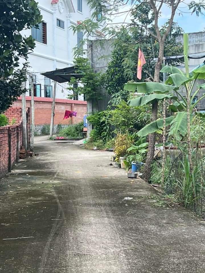 Bán đất phường Minh Hưng giá 550tr dt 6×32