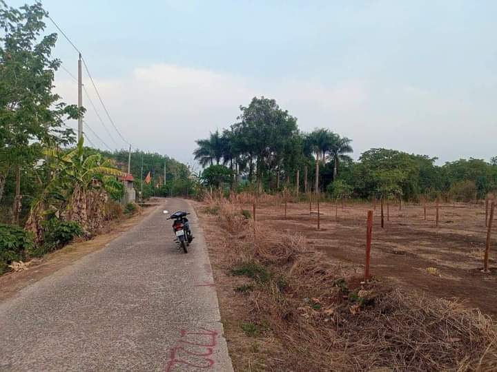Bán đất ấp Thanh Thịnh xã Thanh Lương giá 320tr dt 2 xào