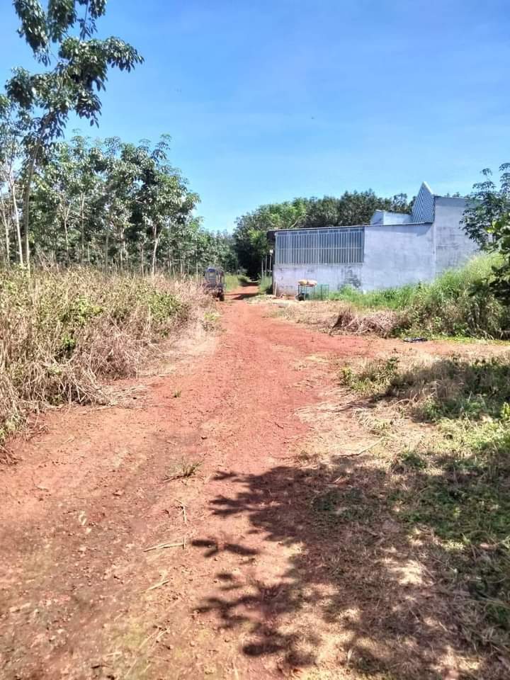 Bán đất phường Long Phước giá 4tỷ dt 9sào