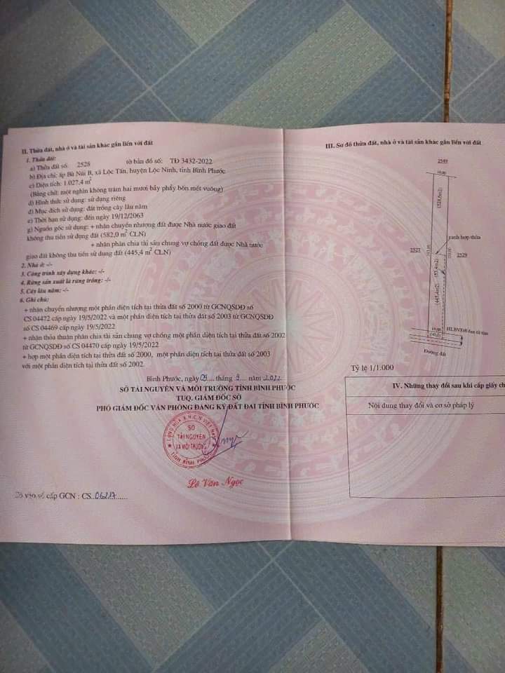Bán đất xã Lộc Tấn giá 165tr dt 1sào
