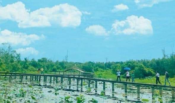 Bán đất xã Thanh Lương giá 300tr/xào dt 8xào5×200tc
