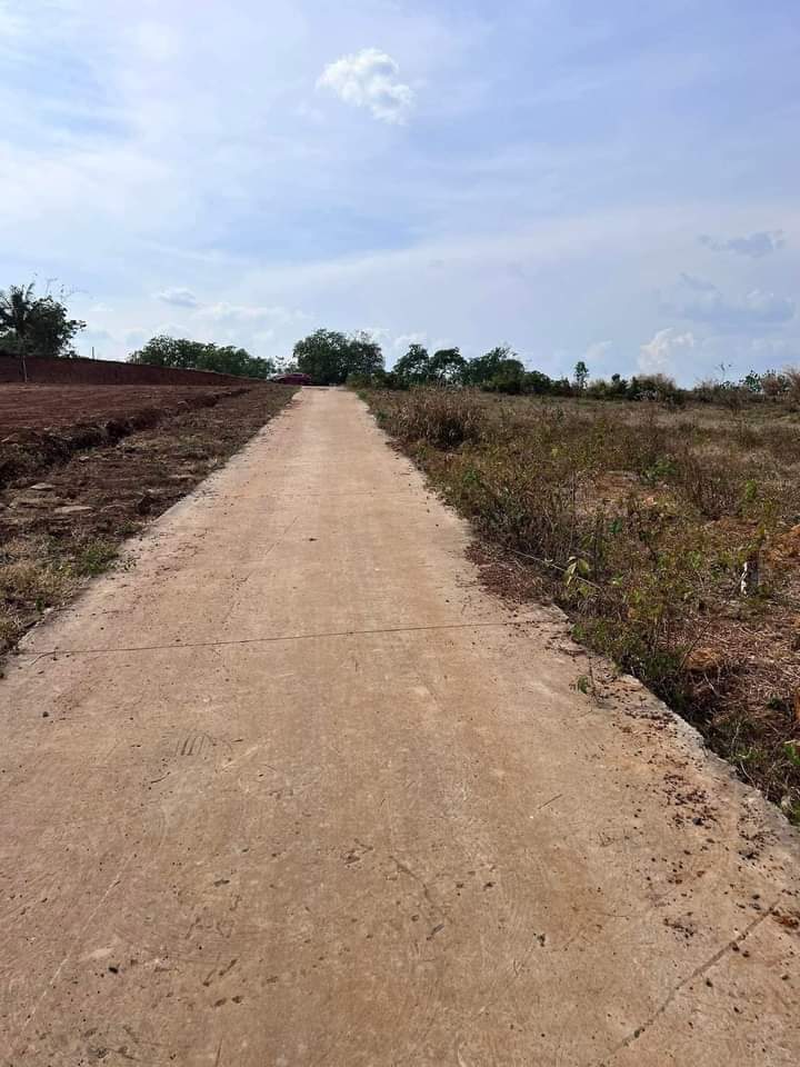 Bán đất xã Thanh Lương giá 185tr dt 5×50×50tc