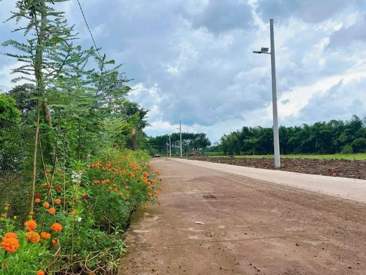 Bán đất xã Thanh Phú giá 225tr dt 5×40×50tc