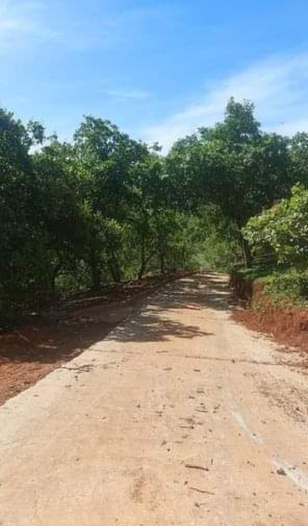 Bán đất xã Đoàn kết dt 2,8ha giá 1,5tỷ/ha